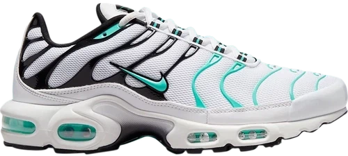 Nike Air Max Plus Atmos