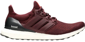 Adidas Ultra Boost 1.0